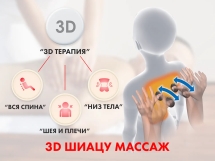 Массажное кресло FUJIMO QI F633 Business Edition Эспрессо