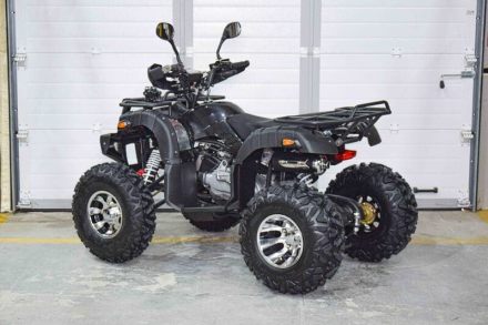 Квадроцикл GRIZZLY 200, фото 4
