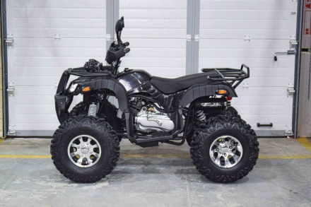 Квадроцикл GRIZZLY 200, фото 3