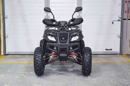 Квадроцикл GRIZZLY 200, фото 2