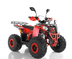 Квадроцикл RAPTOR R8, фото 2 Квадроцикл RAPTOR R8, фото 2