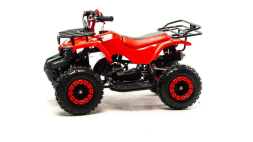 Квадроцикл MOTOLAND 50 Scorpion (2021 Г.), фото 6