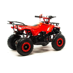 Квадроцикл MOTOLAND 50 Scorpion (2021 Г.), фото 4