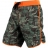 Шорты Affliction affshorts020