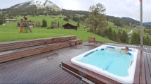 Плавательный спа-бассейн Dimension One Spas Aquafit Sport 13