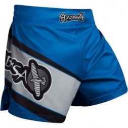Шорты Hayabusa hayshorts079, фото 1