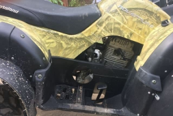 Квадроцикл MOTOLAND 250 Adventure (2021 Г.), фото 10