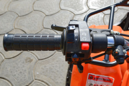 Квадроцикл ATV Target Next, фото 7