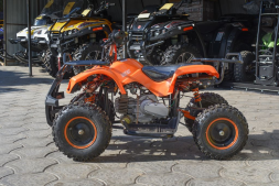 Квадроцикл ATV Target Next, фото 3