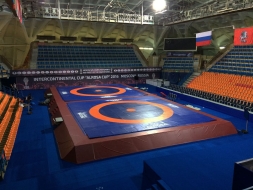 Помост для борьбы на три ковра 41,5х15,5х0,8 м СТ-180, фото 2