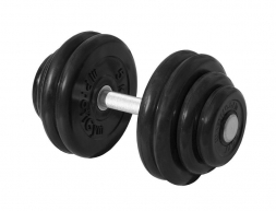 Гантель «PROFIGYM» неразборная с хромированной ручкой 31 кг, черная ГНР-31