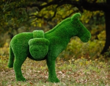 Топиари Ослик с кашпо газон Premium