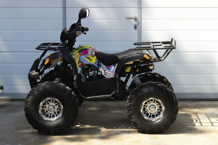 Квадроцикл GRIZZLY Pro 125cc, фото 4