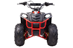 Квадроцикл RAPTOR Dux Lux 8, фото 2 Квадроцикл RAPTOR Dux Lux 8, фото 2