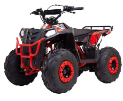 Квадроцикл RAPTOR Dux Lux 8, фото 1 Квадроцикл RAPTOR Dux Lux 8, фото 1