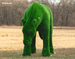 Топиари лошадь Марта - газон Есо, фото 4
