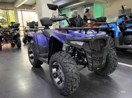 Квадроцикл IRIDE Wolf 300, фото 4