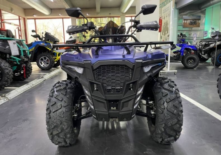 Квадроцикл IRIDE Wolf 300, фото 3