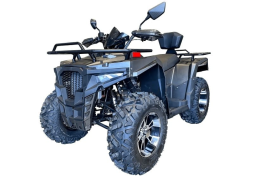 Квадроцикл IRIDE Wolf 300, фото 1 Квадроцикл IRIDE Wolf 300, фото 1