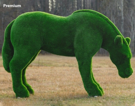 Топиари лошадь Марта - газон Premium, фото 1