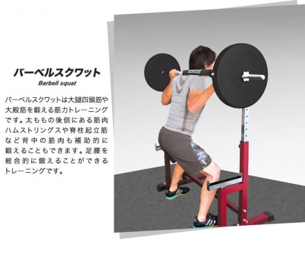 Скамья со стойками под штангу DFC DZ005FB, фото 14