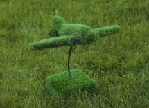 Топиари Самолет - газон Eco