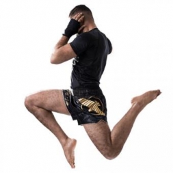 Шорты Hayabusa haytshorts014, фото 3