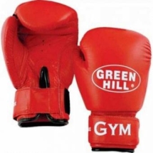 Перчатки боксерские GREEN HILL GYM