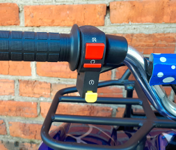 Квадроцикл MOWGLI X16, фото 6