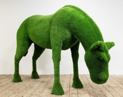 Топиари лошадь Шармэль - газон Premium, фото 1