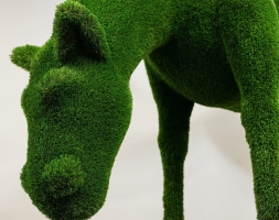 Топиари лошадь Шармэль - газон Premium, фото 3