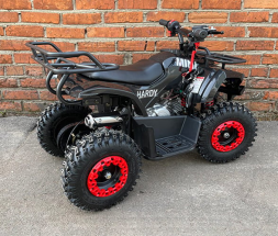 Квадроцикл MOWGLI Mini Hardy 4T, фото 6