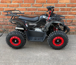 Квадроцикл MOWGLI Mini Hardy 4T, фото 5