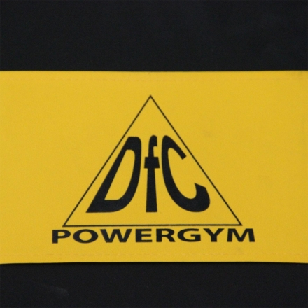 Скамья силовая DFC POWERGYM SUB064, фото 8