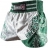 Шорты Hayabusa haytshorts06