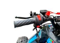 Квадроцикл MOTORHEAD Devil, фото 4