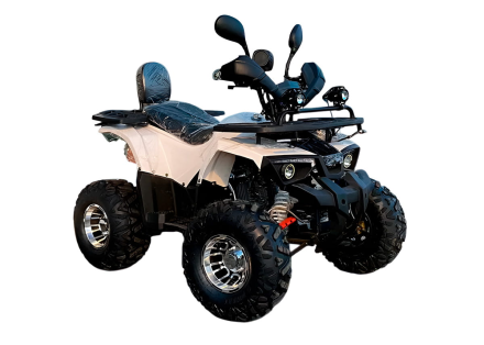 Квадроцикл HAMMER 170 MAX, фото 2