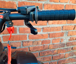 Квадроцикл MOWGLI S07B, фото 5 Квадроцикл MOWGLI S07B, фото 5