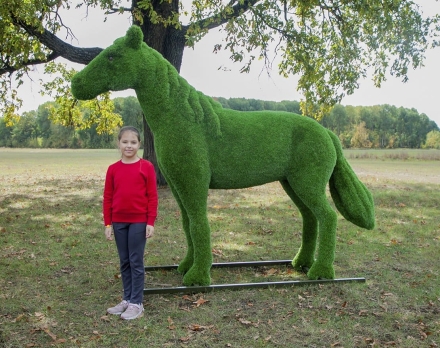 Топиари Конь, беговой - газон Premium, фото 2