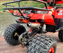 Квадроцикл MOWGLI Bold 8+, фото 7 Квадроцикл MOWGLI Bold 8+, фото 7