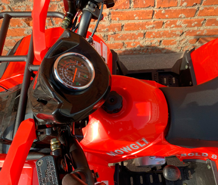 Квадроцикл MOWGLI Bold 8+, фото 5