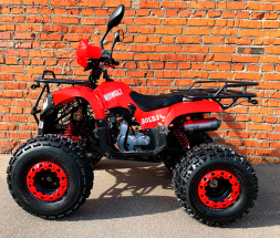 Квадроцикл MOWGLI Bold 8+, фото 2 Квадроцикл MOWGLI Bold 8+, фото 2