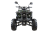 Квадроцикл MOTAX ATV Grizlik 7 110 cc