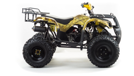 Квадроцикл MOTOLAND 150 Maverick, фото 4