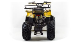 Квадроцикл MOTOLAND 150 Maverick, фото 3