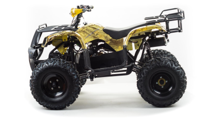 Квадроцикл MOTOLAND 150 Maverick, фото 2