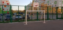 Ворота с баскетбольным щитом Романа 203.10.00