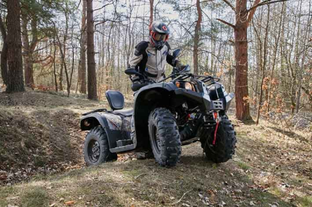 Квадроцикл BALTMOTORS Striker 400 EFI, фото 20