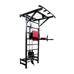 Шведская стенка с турником и брусьями