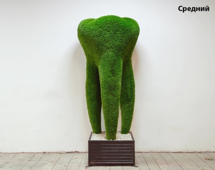 Топиари зуб ЗуБ’Ок, Большой - газон Deluxе, фото 2